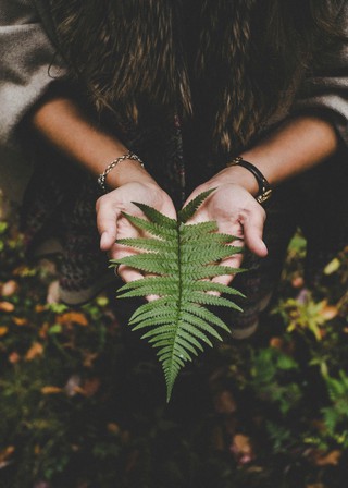 stage Stage Environnement